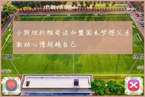 小斯坦科维奇谈加盟国米梦想父亲激动心情超越自己